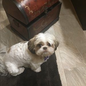 Meet your Posher, Debbir